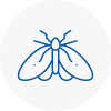 Moth Control Specialists In Dorchester